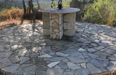 Mountain House near Pyrgos Ilias - Photo 38