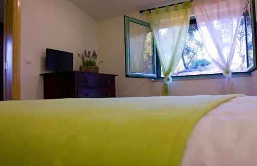 Vale De Ferreiros - Foto 49