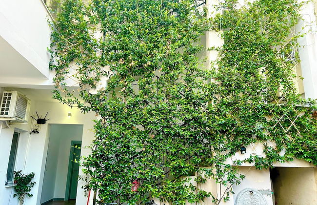 Tirana Budget Retreat Hotel - Foto 68