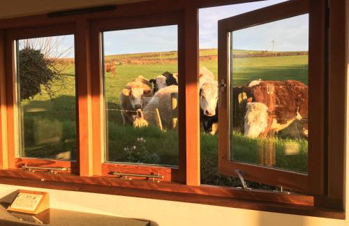 Seaview Studio - Foto 12