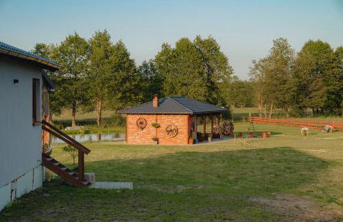 Ranczo KUFLANDIA Średnia Huta - Photo 12