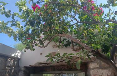 Latmos 1860 - Foto 26