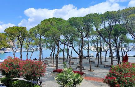 UN BALCONE IN PINETA - Foto 1