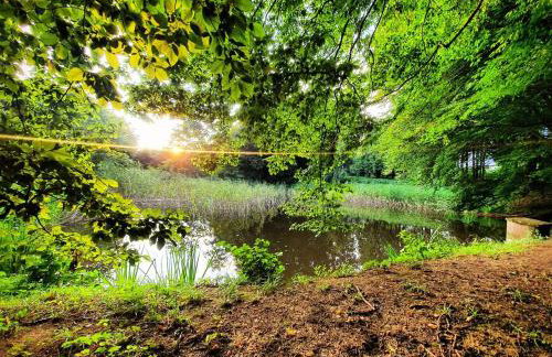 Dziubanowo - Foto 28