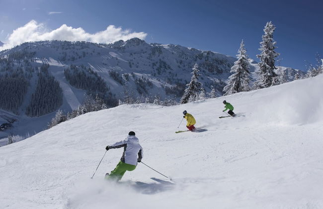 Spacious Apartment in Ramsau im Zillertal near Ski Area - Foto 20