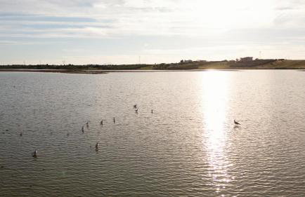 Flamingo View Suites & Villas - Photo 9