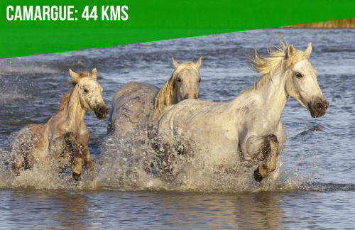 La Bastideto - Piscine - AC CLim - Alpilles - Foto 48