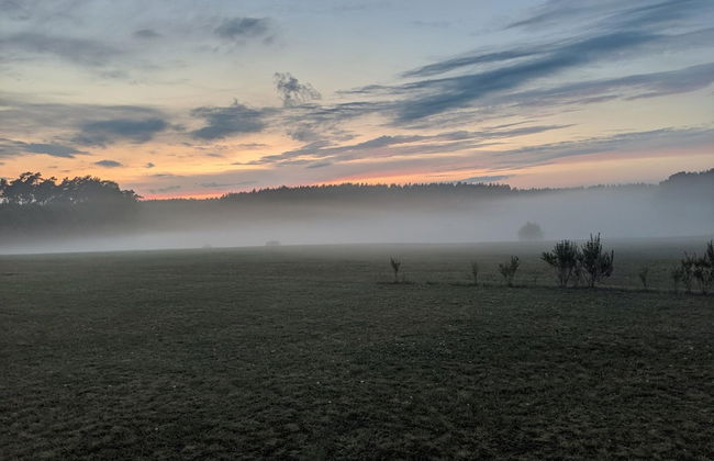 Ferienhaus in Mecklenburg-vorpommern mit Tropenpool & Spa - Photo 35