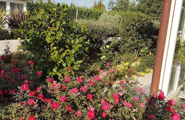 Residenza delle Grazie - Foto 21