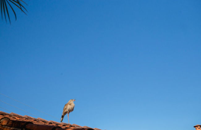 VOA Mirante Do Café - Foto 62