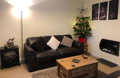 Bryn Melyn Farm Cottages - Foto 46