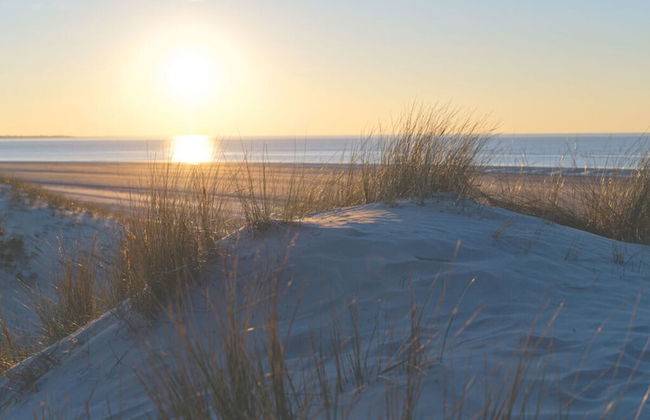 Beach House Langeoog - Foto 26