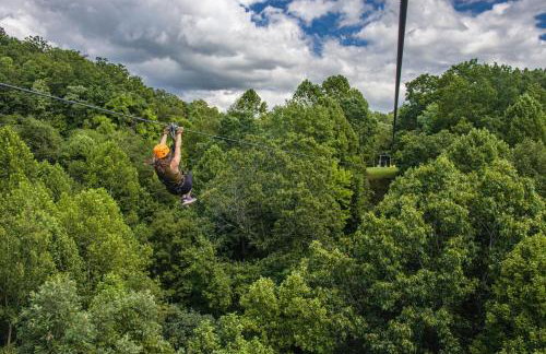 Forest Gap - Pizza oven, hot tub, EV charger - Foto 47