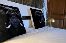 Chitaka's Organic Farmhouse in Ribatejo - Foto 13