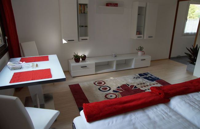 W & S Executive Apartments - Obertraun - Foto 9