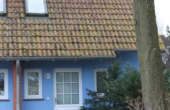 "Achtern Diek" Doppelhaushälfte - Foto 4