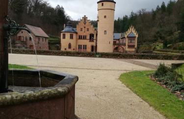 Himmelthal Apartment - Foto 18