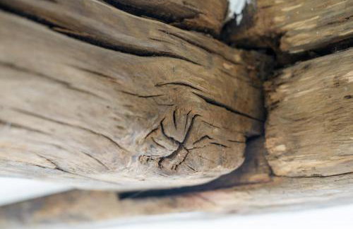 Nengshof Ferienhaus Gänseblümchen - Foto 15