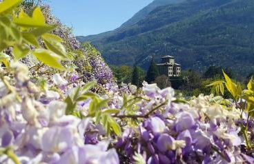 Lo Gnomo sotto al Glicine - Foto 8