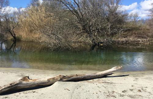 Le Clos des Arbousiers - Foto 24