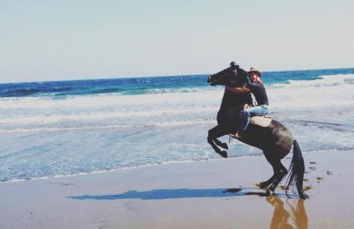 Wild House - Photo 38