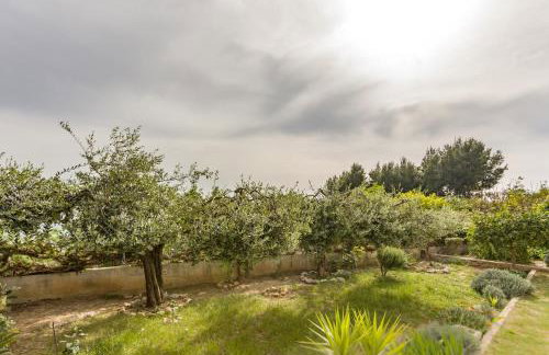 STAR of the SEA 2 - Photo 46