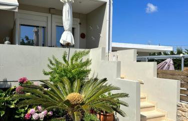 BIO Garden New House - Foto 13