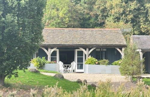 STARGAZER adult only - Foto 35