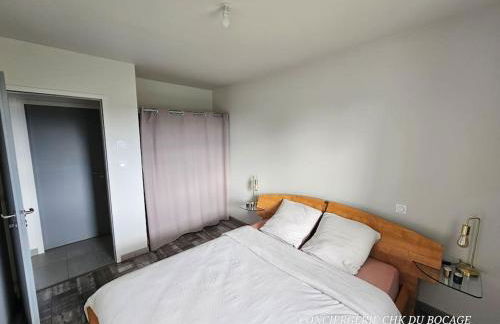 L'Al'Oë charmant gîte - 2kms du Puy duFou - Foto 21