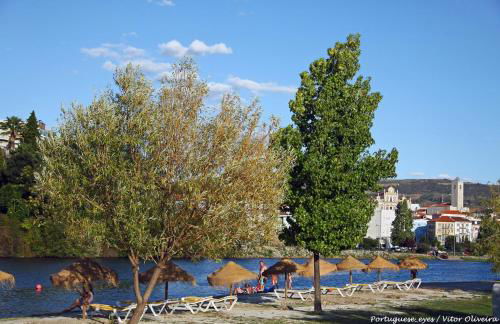 Casa de Férias MariCeu Mirandela - Foto 49