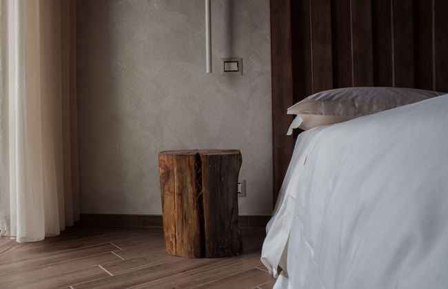 Fattoria L'Olmetto - Foto 25