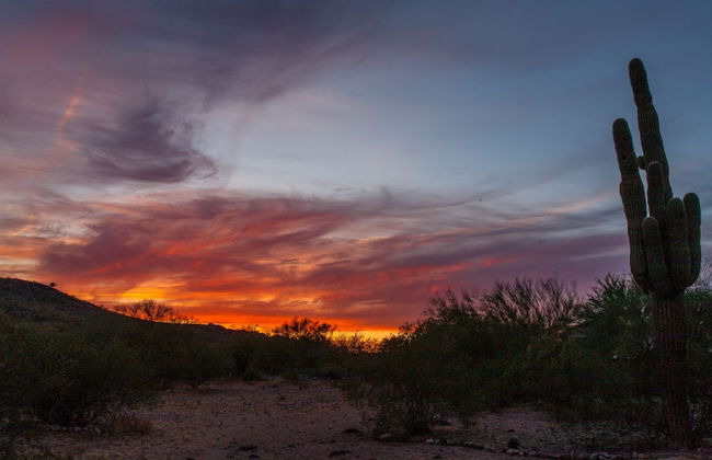 Vista Retreat Vacation Home - Foto 46