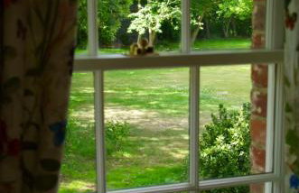 The Georgian Coach House:New Forest with hot tub - Foto 43