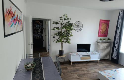 Mikelimoges - Foto 2