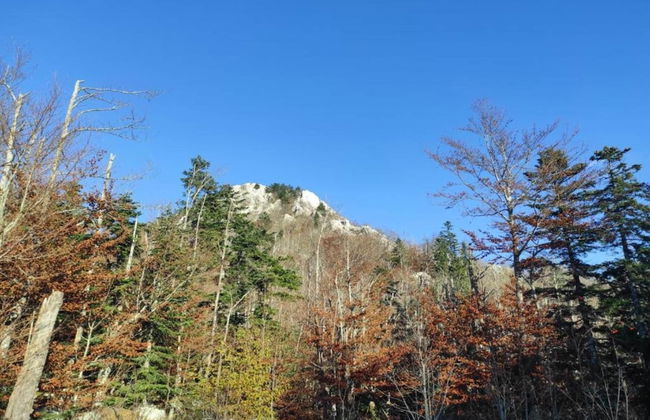 Quiet Country Side Cottage with Private Garden & WiFi near Nature Park Velebit - Foto 35