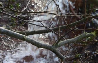 Vittebrook - Foto 12