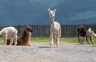 apartments arduus - high living - Foto 15