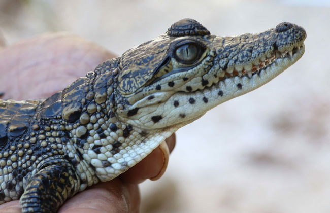 Visita al centro Wotoch Aayin - Foto 1