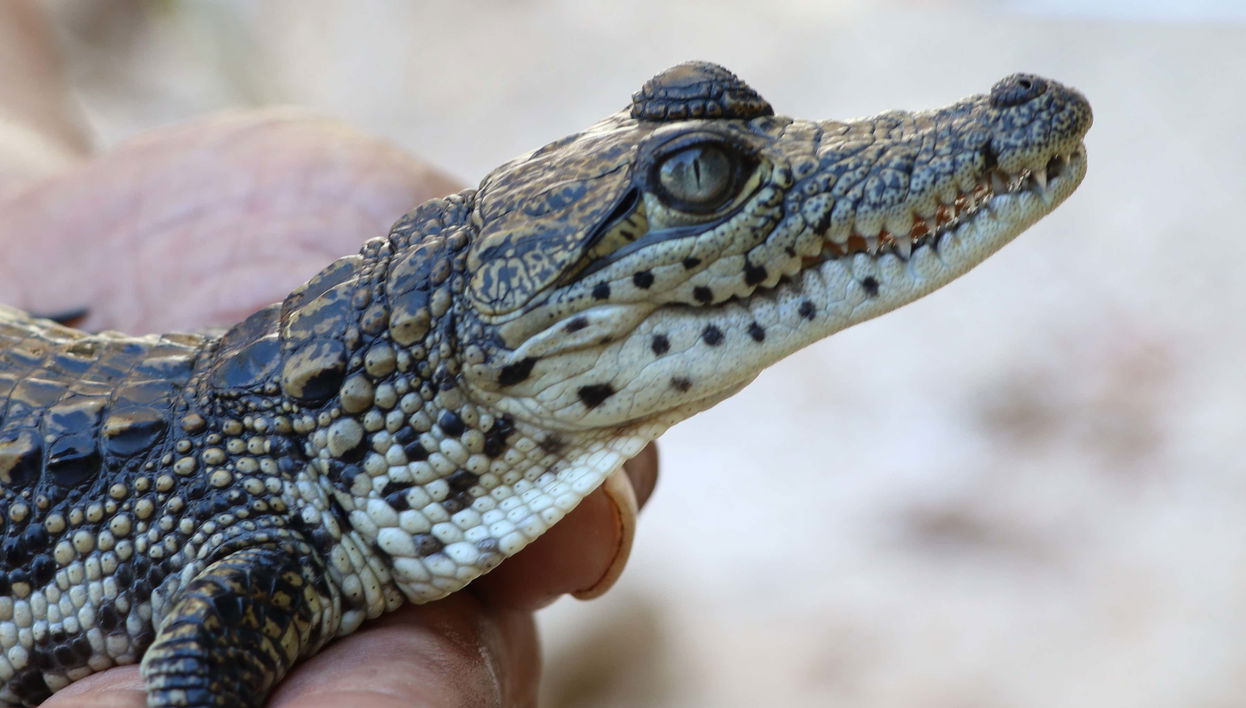 Visita al centro Wotoch Aayin