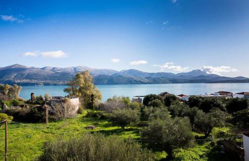 Anemoessa Aria - Photo 7