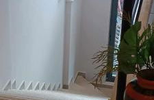 Νηρηίδες so blue - Foto 16