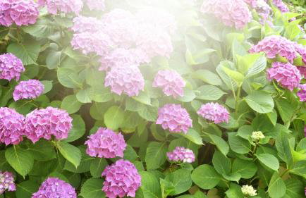 Les Notes de Granit - longère en pierre - Foto 33