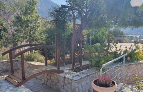 Villa Aliki - Photo 22