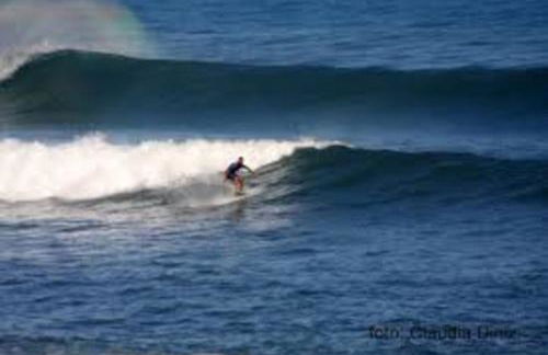 Pereira Place - Foto 21