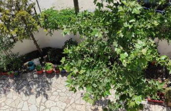 Casa Stella - Foto 47