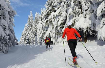 ferienwohnungen.ruhla - Foto 42