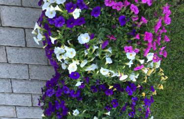 Residence Dilitz - Foto 22