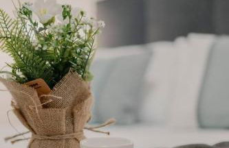 Centro Jardín - Foto 32