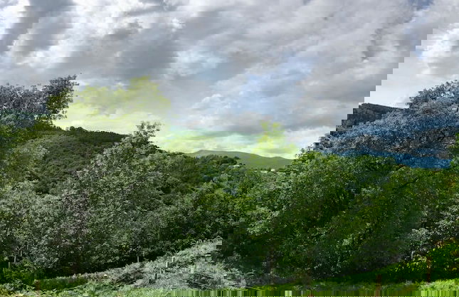 Cabañas Deluxe Basajaun Basoa by IrriSarri Land - Foto 31