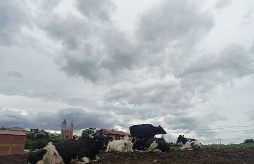 Te encantará este dúplex en cóbreces - Foto 8